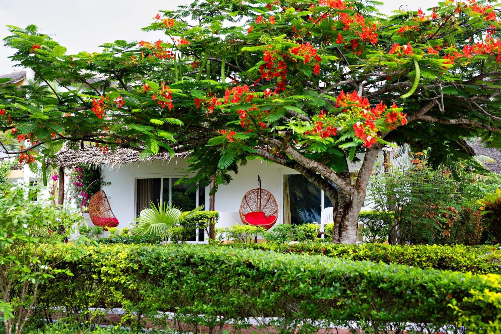 Tanzanite Beach Resort Nungwi Exterior foto